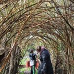 The photo shows a large archway made out of willow, with a families walking underneath.