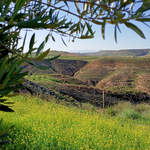 photo showing beautiful countryside surrounding the Andalusian farmhouse