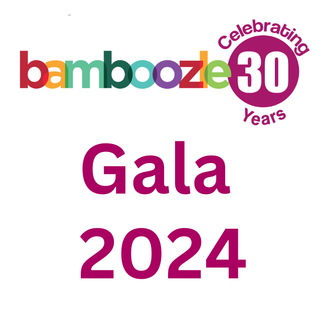 Image with pink text reading Gala 2024